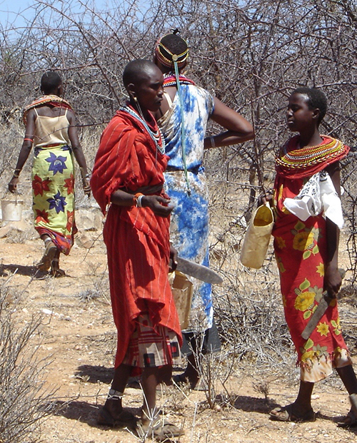  Samburu frankincense & myrrh  sustainable, certified organic wild collection